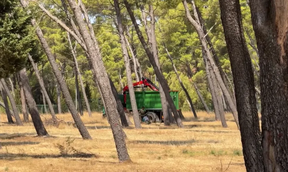 (VIDEO) Na zahtjev MZ Zlatica uređena park &scaron;uma