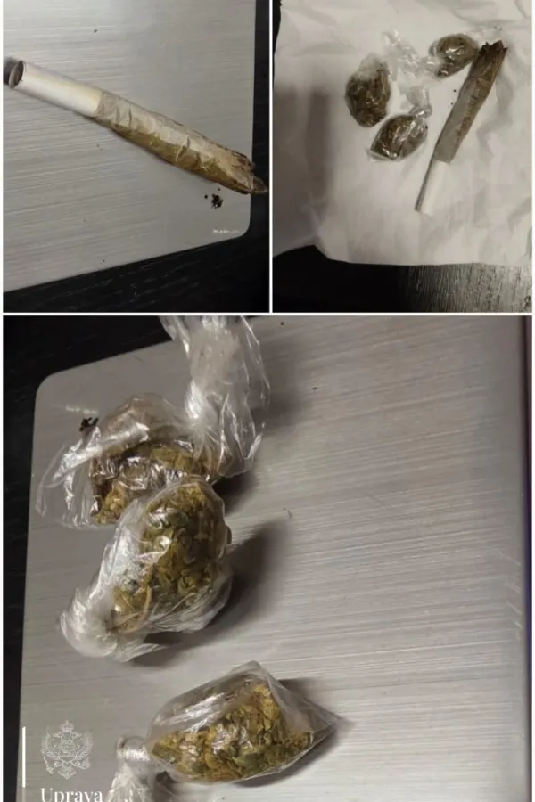 zaplijenjena droga u budvi