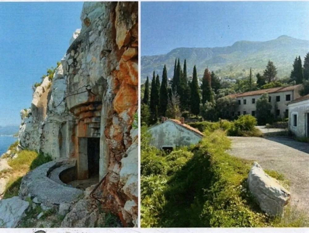 "Skočiđevojka" zarasla u &scaron;iblje