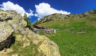 Policija pojačava&nbsp;patrole, a tvrde da je na &Scaron;tedimu mirno