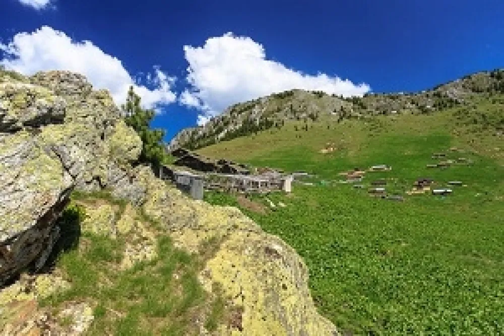 Policija pojačava&nbsp;patrole, a tvrde da je na &Scaron;tedimu mirno