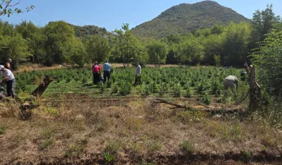 Određeno zadržavanje Mara&scaron;u i Peroviću, osumnjičenima za plantažu marihuane