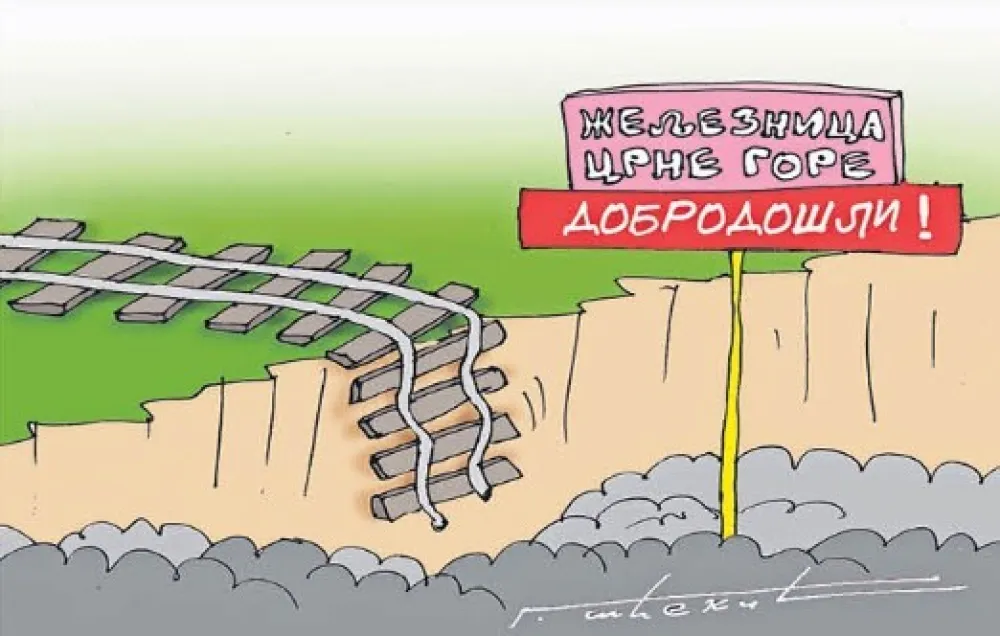 Goran &Scaron;ćekić karikatura Dana