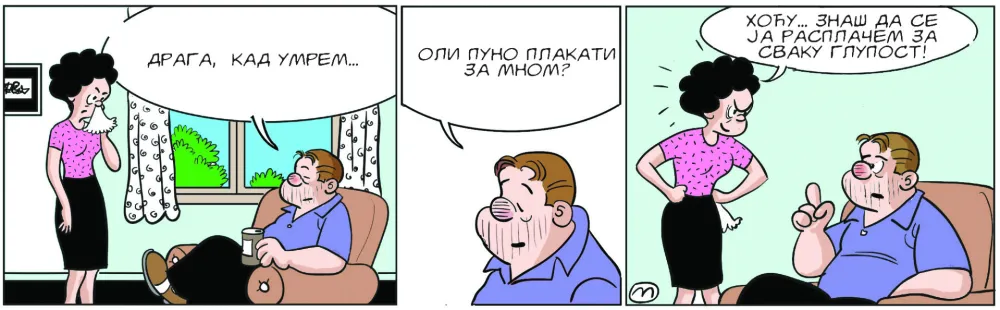 Mirko Zulić strip dana