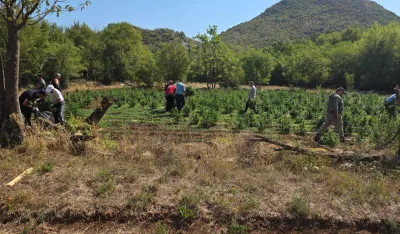 Vi&scaron;i sud odredio pritvor Mara&scaron;u i Peroviću zbog plantaže marihuane u Trnovu