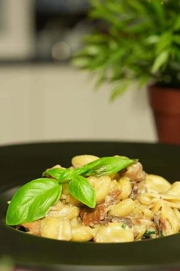 Tjestenina u kremastom sosu od pečuraka