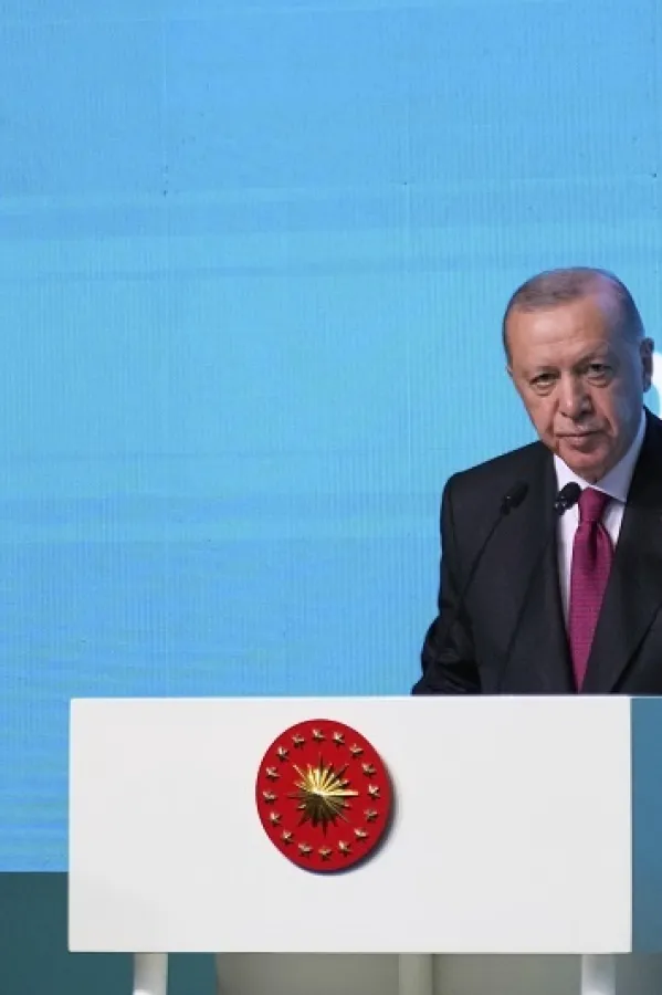 Erdogan Zelenskom: Turska spremna da pomogne u održavanju samita Rusija-Ukrajina na visokom nivou