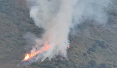 Lokalizovan požar na Lisinju, u akciji bio avion "vatro-ubica"