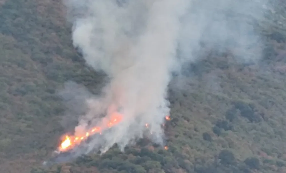 Lokalizovan požar na Lisinju, u akciji bio avion "vatro-ubica"