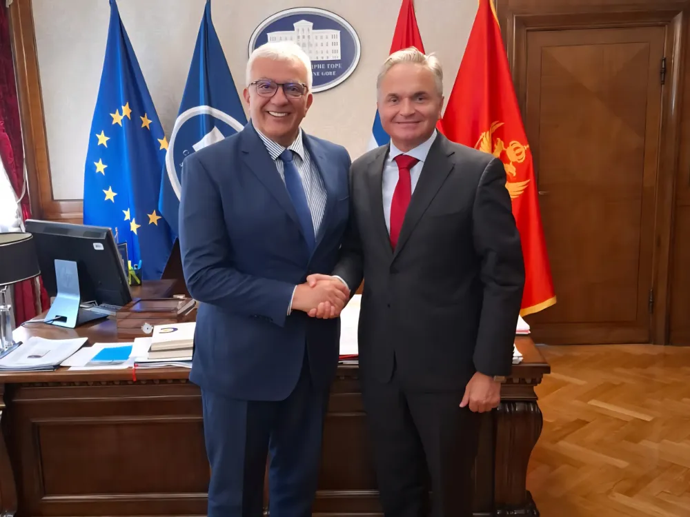 Mandić: Skup&scaron;tina spremna da podrži inicijative koje doprinose jačanju međunarodne saradnje i dijaloga