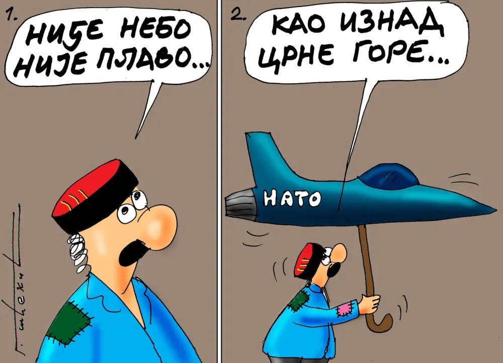 Goran &Scaron;ćekić karikatura Dana