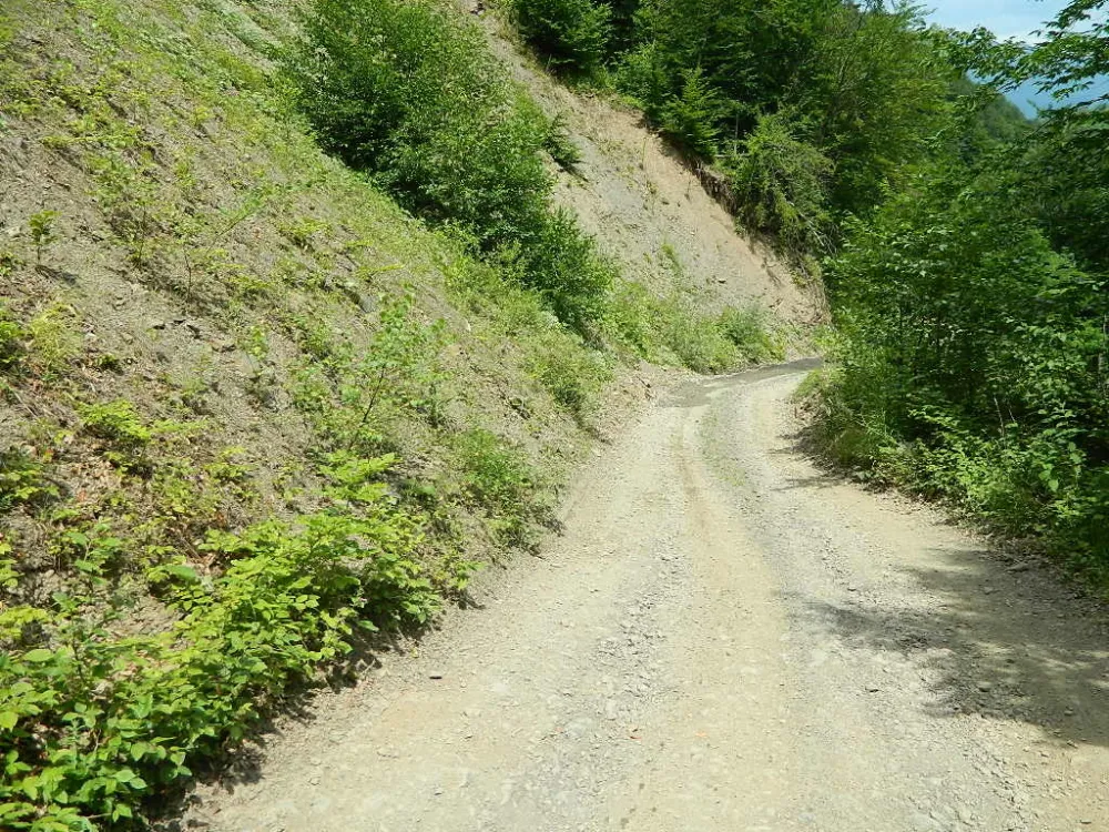 Seoski putevi u Andrijevici čekaju asfalt, klizi&scaron;ta ugrožavaju saobraćaj