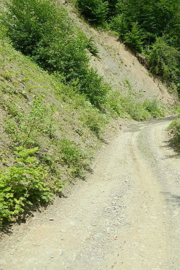 Seoski putevi u Andrijevici čekaju asfalt, klizi&scaron;ta ugrožavaju saobraćaj