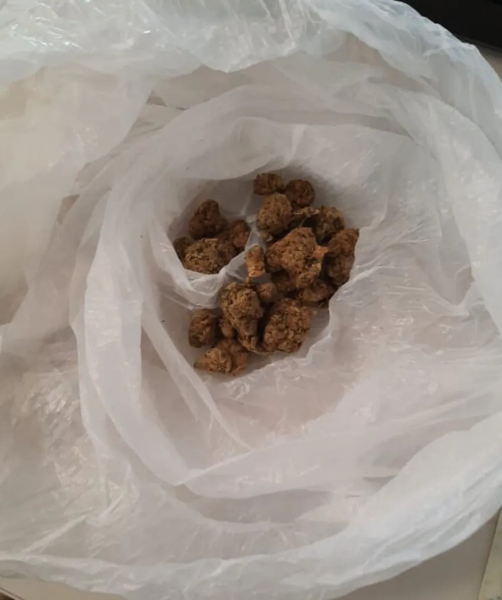 Strani državljani uhap&scaron;eni zbog marihuane