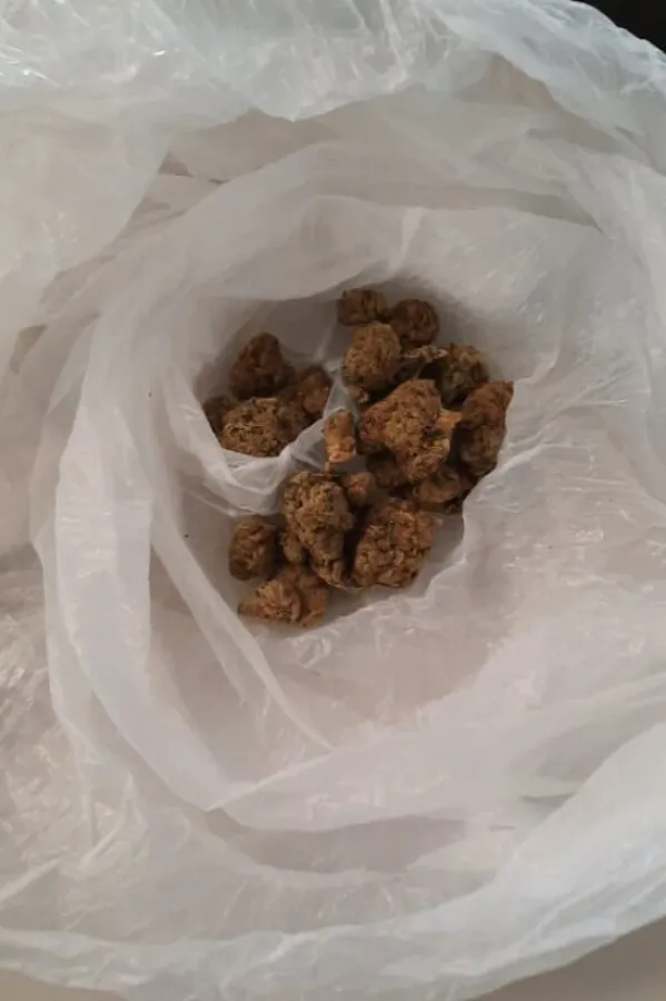 Strani državljani uhap&scaron;eni zbog marihuane