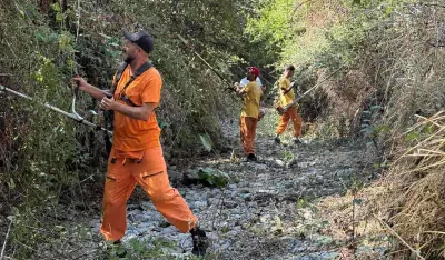 Očistili Savin potok u Maslinama
