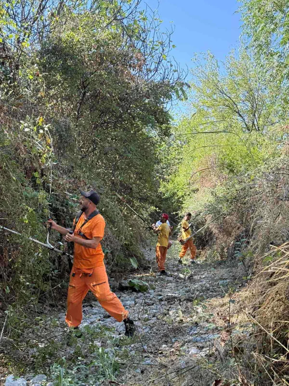 Očistili Savin potok u Maslinama