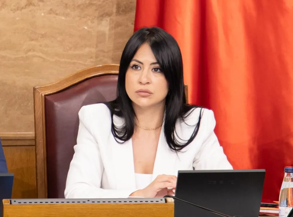 Vuković pita Radulovića: Za koliko novca su prodati brodovi Crnogorske plovidbe?