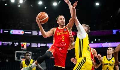 Vladimir Mihailović