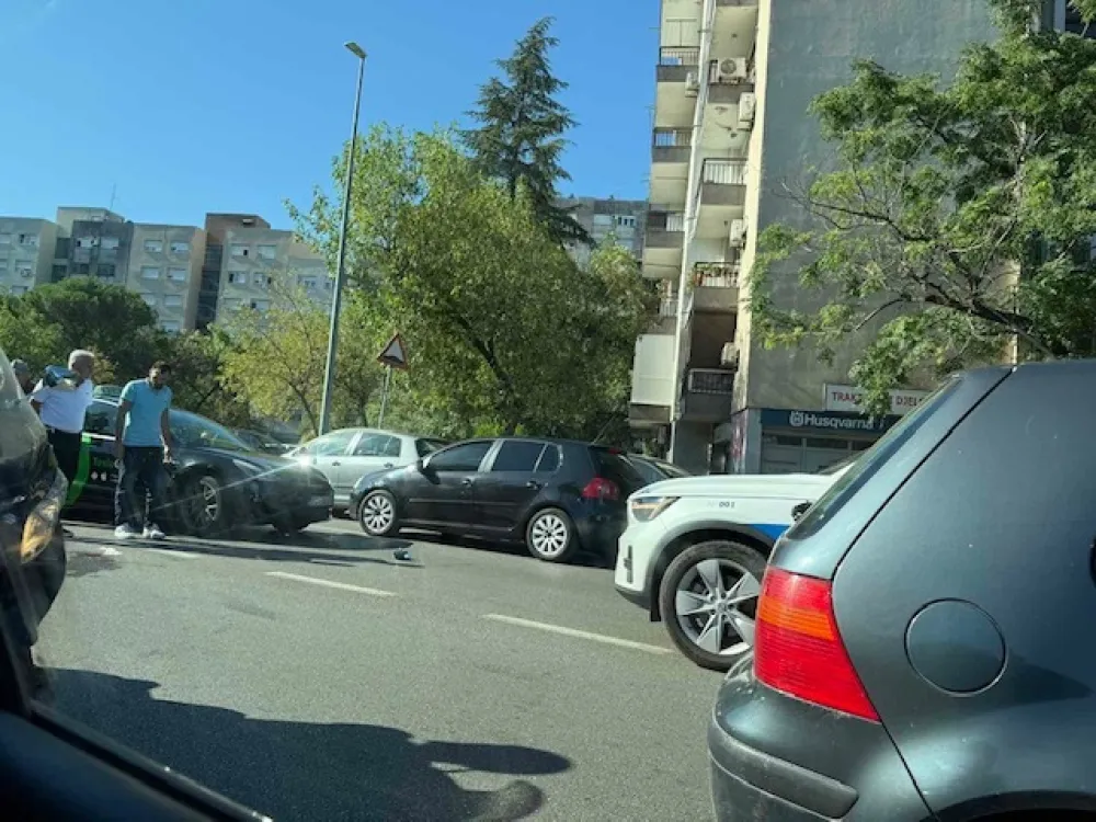 uDES bRACANA bRACANOVIĆA