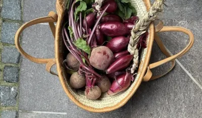 Sezona bez pada energije: Neophodni vitamini za jesen