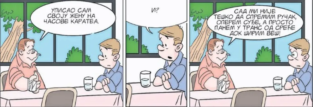 Mirko Zulić strip Dana