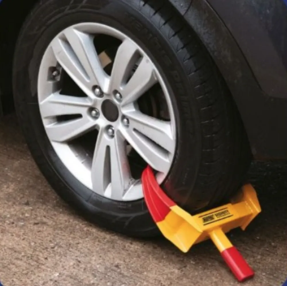 (VIDEO) Direktor Parking servisa: Kandže&rdquo; već zaradile preko 40.000 eura