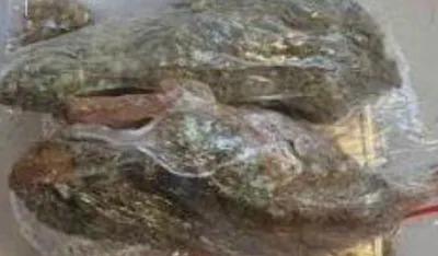 Na Sukobinu kod ženske osobe pronađena marihuana