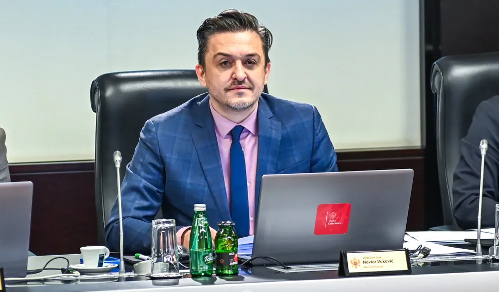 Vuković: Od novembra 2024. do avgusta 2025. usvojena 22 zakona iz nadležnosti MF