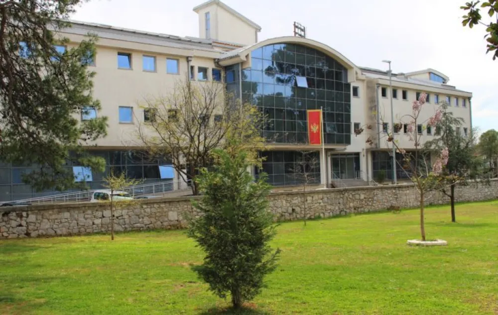 Crna Gora se pridružila inicijativi Brain Health Mission