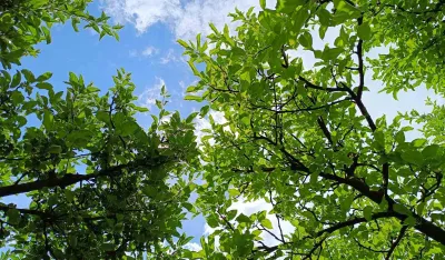 (VIDEO) Sjutra pretežno sunčano, popodne slaba oblačnost