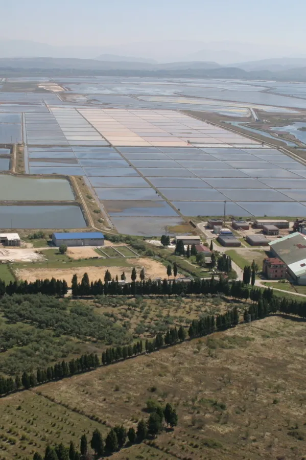 Akcionari Solane "Bajo Sekulić" pozvali Alabara da razmotri mogućnost kupovine lokaliteta