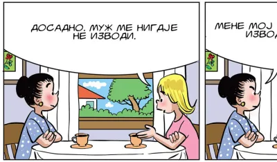 Mirko Zulić strip dana