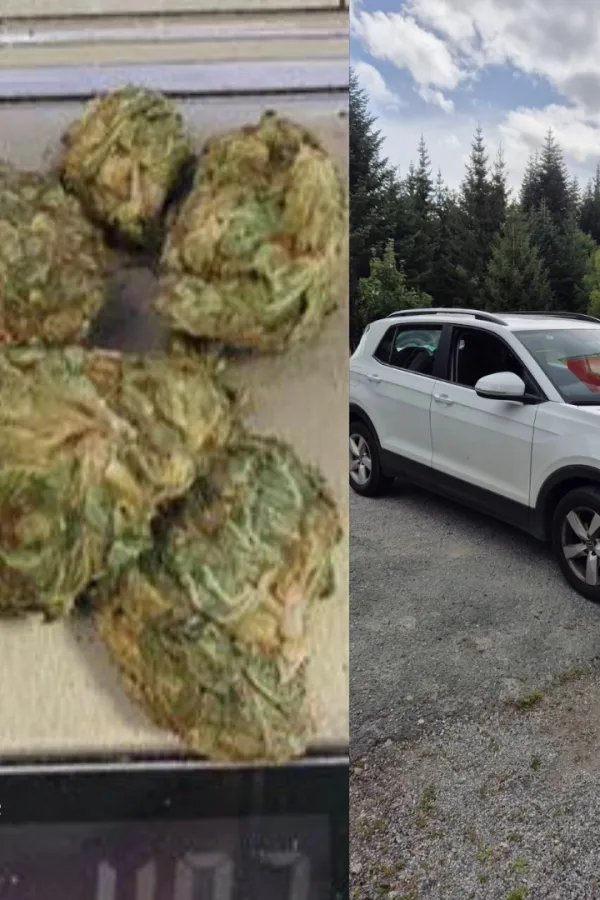 Granična policija podnijela prekr&scaron;ajnu prijavu protiv osobe kod koje je pronađena marihuana