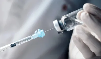 Naučnici razvili vakcinu koja bi mogla spasiti koale od izumiranja