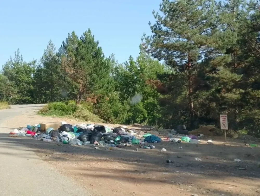 Smećem zatrpani putevi i javne povr&scaron;ine u Petnjici