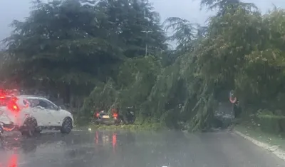 Kod Američke ambasade vjetar oborio drvo