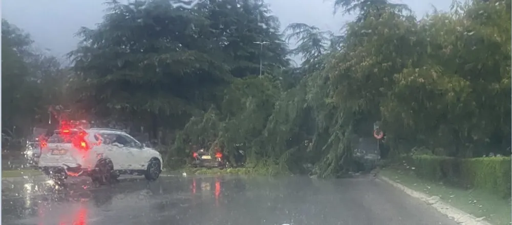 Kod Američke ambasade vjetar oborio drvo