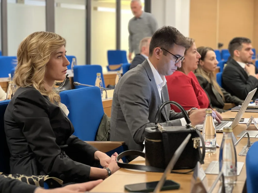 Ilija Mugo&scaron;a, Jelena Knežević skup&scaron;tina Glavnog Grada