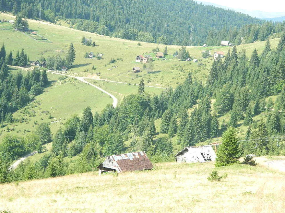 Катуни на Цмиљевици