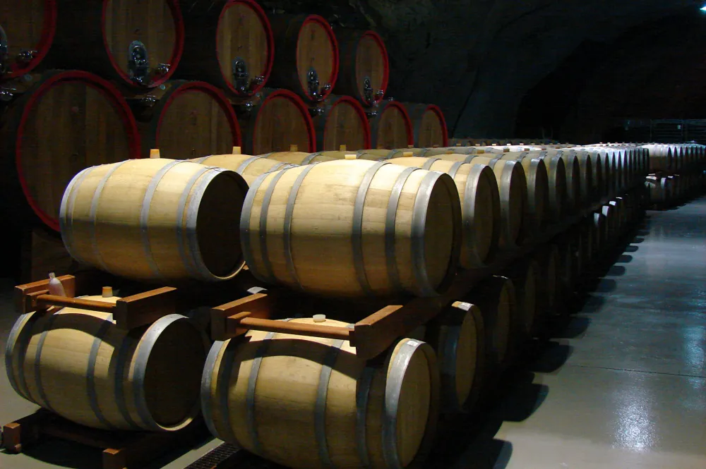 Zbog akcize, cijene vina porasle do 15 odsto