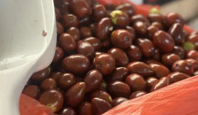 Kilogram iglica osam eura