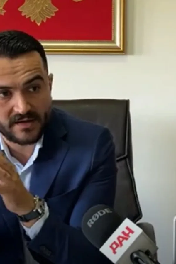 Pod lupom radno iskustvo direktora Zelenila