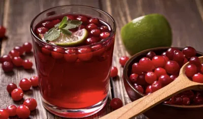 Brusnica saveznik protiv urinarnih infekcija