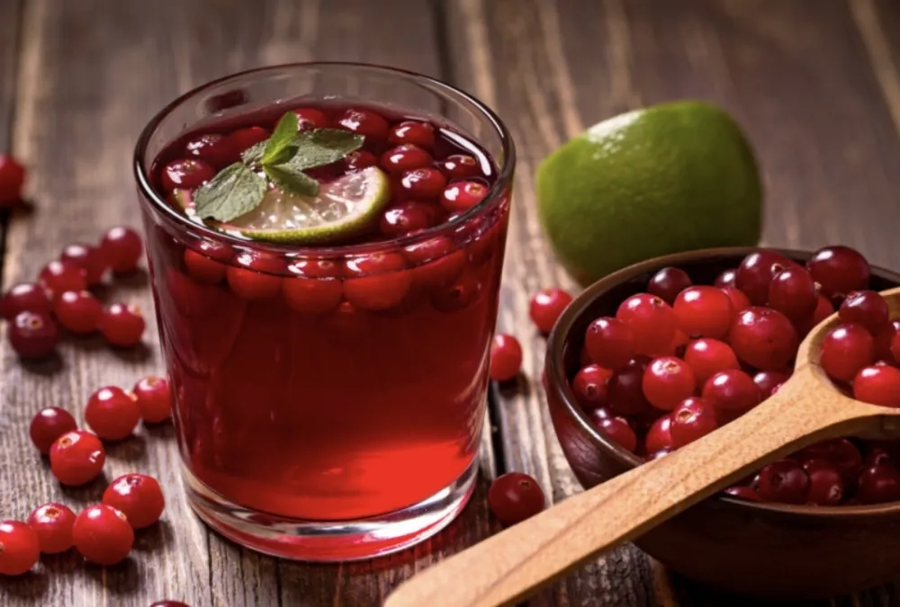 Brusnica saveznik protiv urinarnih infekcija