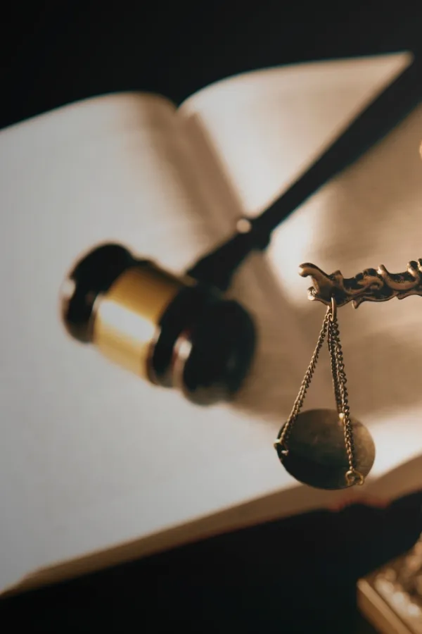 &bdquo;Ellena group&ldquo; podnijela novu kriivičnu prijavu, a ODT formirao 11 predmeta protiv odgovornih u &ldquo;Vektra Boki&rdquo;