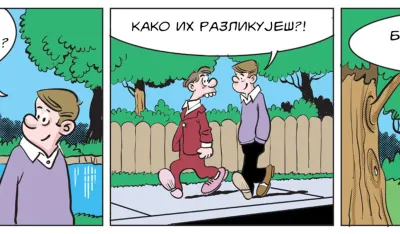 Mirko Zulić strip Dana