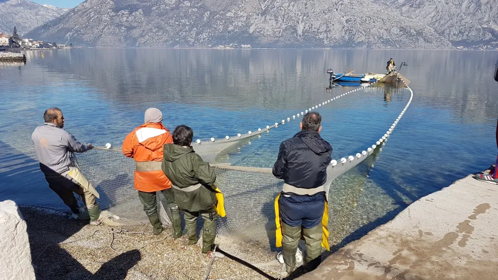 Kise za "Dan": Najveće probleme imaju ribari iz Boke