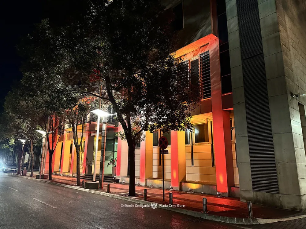 Vlade utvrdila&nbsp;Predlog zakona o izmjenama i dopunama Krivičnog zakonika&nbsp;