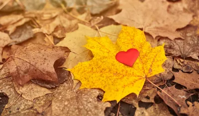 Ova četiri znaka očekuje najbolja jesen: Počinje sreća